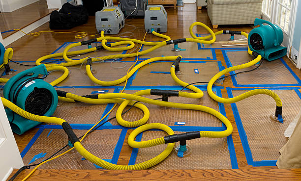 Professional Crawl Space Water Removal technician working in New Market, MD